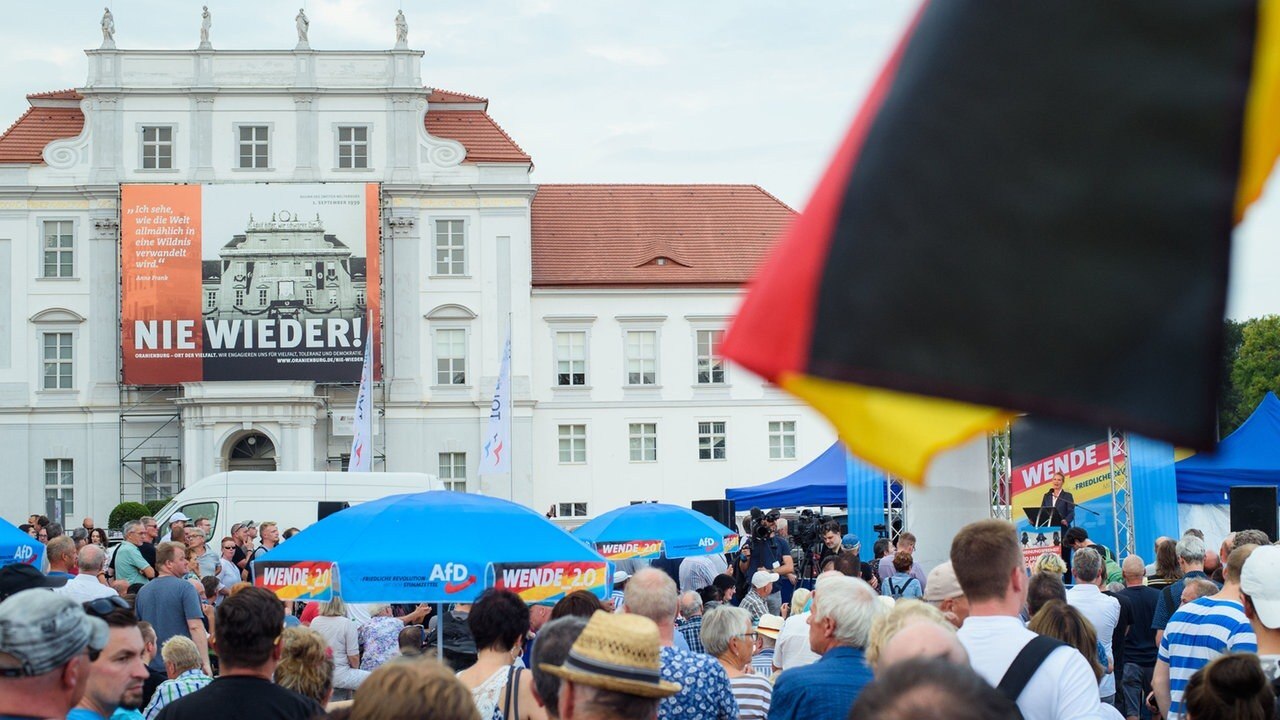 Monitor Landtagswahlen im Osten Warum die AfD gewinnt ARD Mediathek