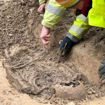 Bei Bauarbeiten gefunden: In Karlsruhe Durlach wurden 22 Skelette auf einem unbekannten Friefhof entdeckt. Archäologen graben ein Skelett aus.