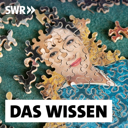 Holzpuzzleteile bilden das Gesicht einer Frau: Wenn wir puzzeln, sind unsere Feinmotorik, unser räumliches Denken, unsere Geduld und das Gedächtnis gefragt. Aber vor allem macht es Spaß zu sehen, wie aus einem unübersichtlichen Haufen kleiner Teile etwas Großes entsteht.