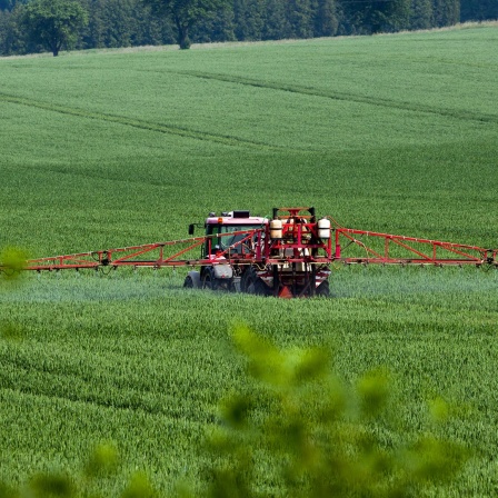 Ein Landwirt bringt Pestizide auf einem Feld aus.