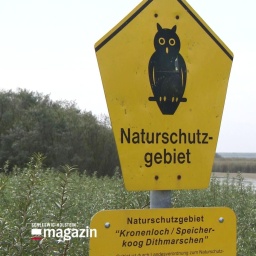 Ein gelbes Schild mit einer Eule darauf, das das Naturschutzgebiet Kronenloch / Speicherkoog Dithmarschen auszeichnet.