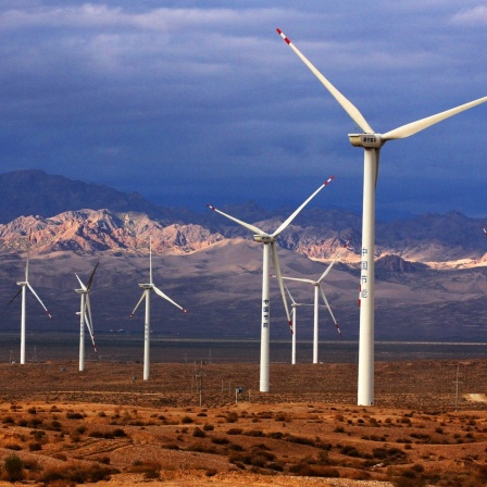 Ein Windpark in der Wüste Gobi