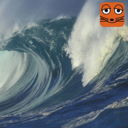 Riesige Welle im Ozean