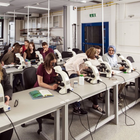 Studenten beim Mikroskopierkursus in der Fakultät Biologie an der Universität Duisburg-Essen.