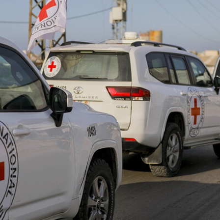 Mehrere Autos vom Roten Kreuz auf dem Weg nach Gaza