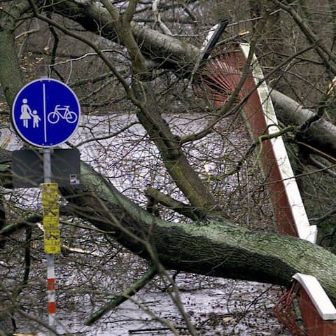 Durch umgestürzte Bäume ist diese Brücke in Karlsruhe am 26.12.1999 völlig unpassierbar geworden. Mehr als 100 Menschen starben in Frankreich, Deutschland und der Schweiz durch das Orkantief Lothar;  die meisten durch umfallende Bäume.