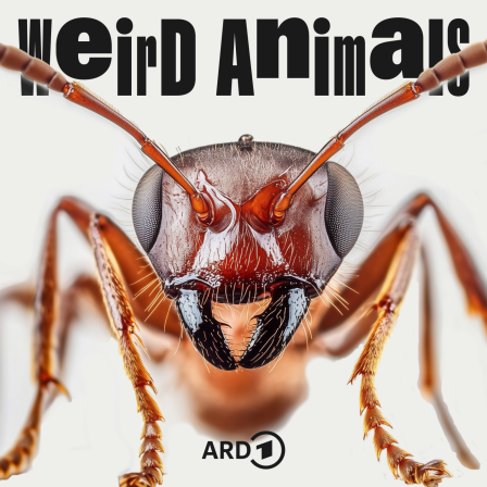 Weird Animals Episode 28 Ameise