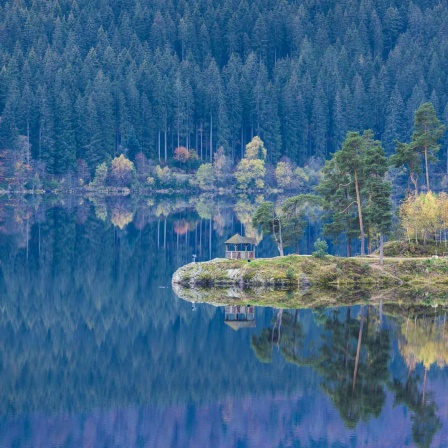 Der Schluchsee im Südschwarzwald (Bild: imago images / Danita Delimont)