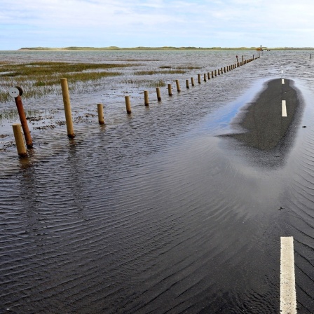 Hochwasser hat eine Straße überschwemmt.