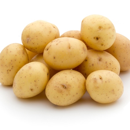 Kartoffel - Die nahrhafte Knolle