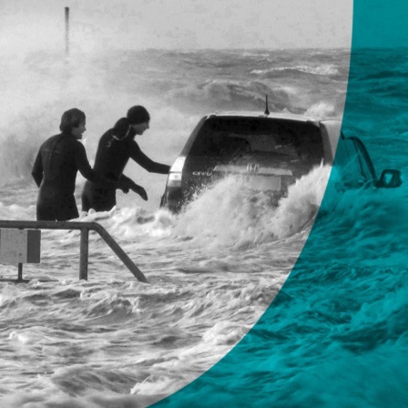 Trailer: Land unter - Doku über den Küstenschutz an Nord- und Ostsee