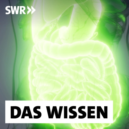 Neue Forschungen deuten darauf hin, dass das sogenannte Reizdarmsyndrom mit genetischen Faktoren zusammenhängt.