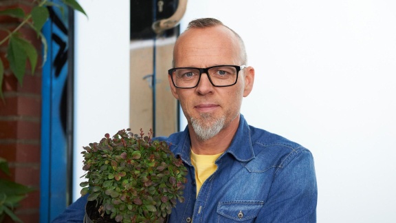 Wissen Vor Acht - Natur - Sind Pflanzen Intelligenter Als gedacht.