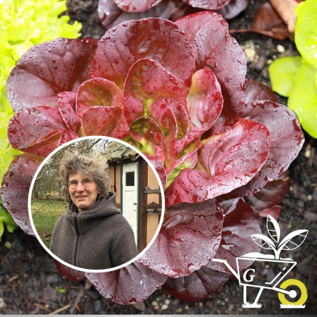 Komm mit in den Garten der ARD GartenPodcast · 28 So geht
