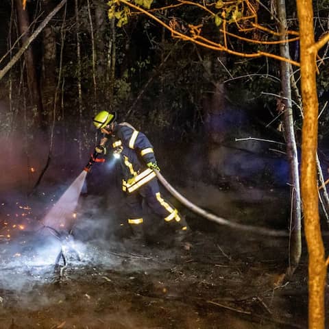 Ein Feuerwehrmann löscht Glutnester am Waldboden. Nach Waldbränden nahe Hanau und im südhessischen Heusenstamm schließt die Polizei Brandstiftung als Ursache nicht aus. Im Bereich Hanau-Klein-Auheim war ein Flächenbrand von etwa 12.000 Quadratmetern festgestellt worden.