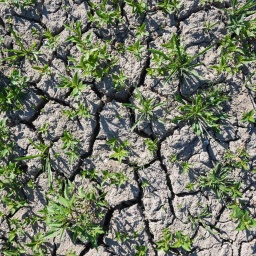 Von wegen im Überfluss: Geht uns das Grundwasser aus?