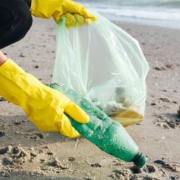 Eine Person sammelt Plastikmüll am Strand auf.