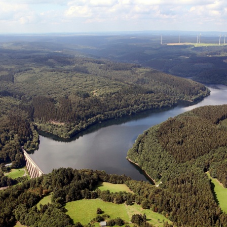 Das Beitragsbild Dok5 "Grüne Adern" zeigt die Oleftalsperre in der Eifel.