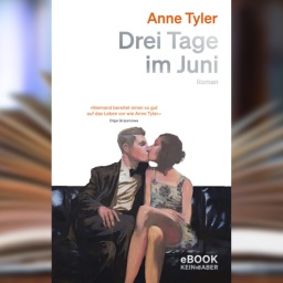 Buchcover: "Drei Tage im Juni" von Anne Tyler