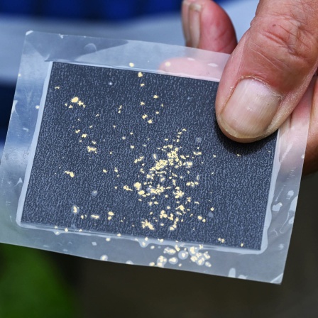 Bei einem Kurs zum Goldwaschen werden in einer eingeschweissten Folie Goldflakes gezeigt, die über einen längeren Zeitraum aus der Alb gewaschen wurden und in etwa das Gewicht von einem hundertstel Gramm haben.
