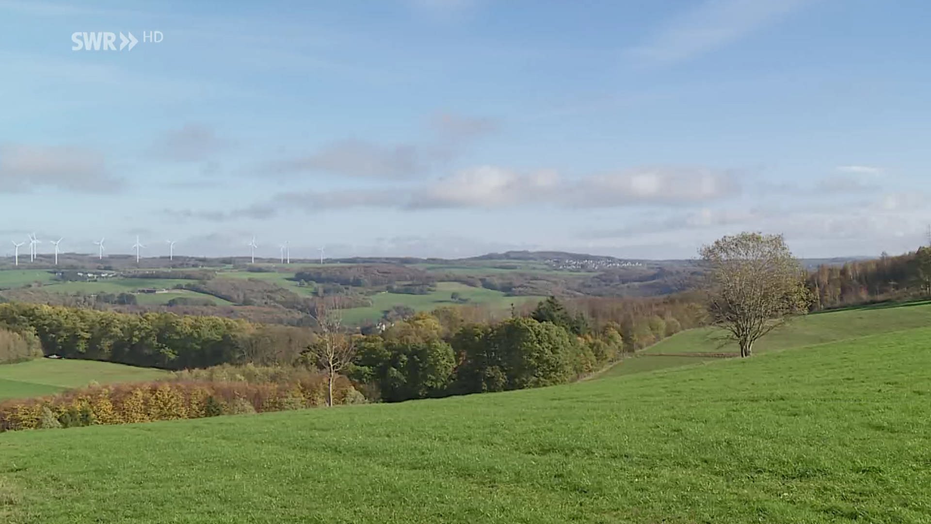 SWR Aktuell Rheinland-Pfalz: Rheinland-Pfalz Wetter Vom 10.11.2022 ...