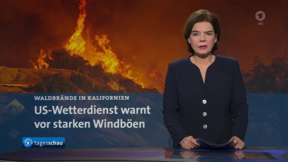 Tagesschau - Tagesschau 12:00 Uhr, 12.01.2025