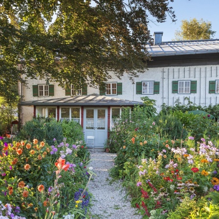 Künstlerhäuser entdecken und Hausbesuche am Starnberger See