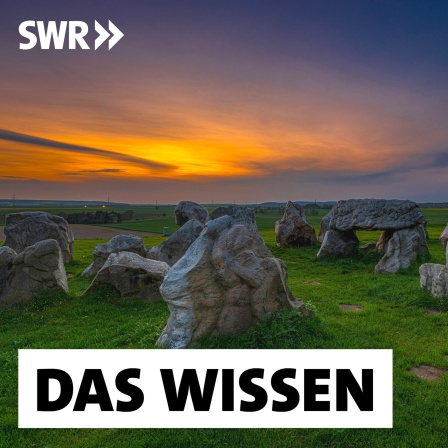 Schon in der Steinzeit wandern Menschen auf der Suche nach einem besseren Leben nach Europa. Die meisten von uns stammen von diesen früheren Migranten ab.