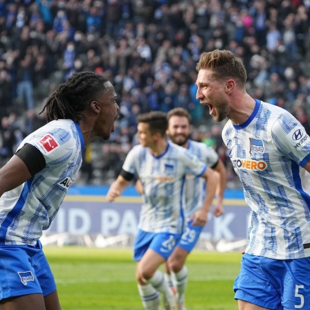 Niklas Stark (r) leitete mit seinem Tor Herthas Heimsieg gegen Hoffenheim ein.