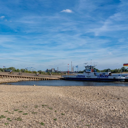 Niedrigwasser Stand am Rhein, Ufer fallen trocken, die Schifffahrt kann nur mit verringerter Ladung und Geschwindigkeit fahren. Aufnahme aus Duisburg-Walsum.