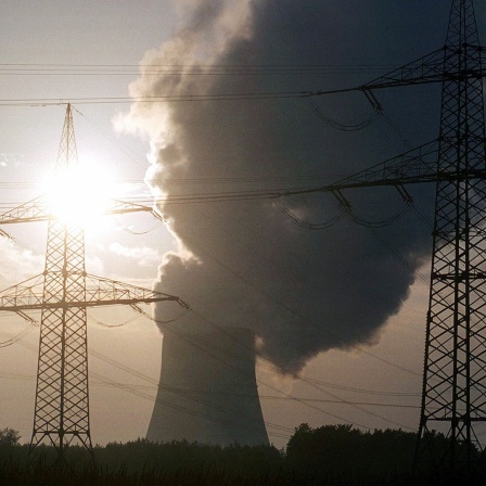 Die Sonne scheint durch einen der vielen Strommasten im Umfeld des Atomkraftwerks Lingen (Emsland). 