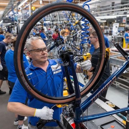 Fahrräder werden in der Produktion des Fahrradherstellers Diamant montiert. Täglich werden bei Diamant 1000 bis 1200 Fahrräder in zwei Schichten an Fließbändern montiert und vorrangig in Deutschland und Europa verkauft. 