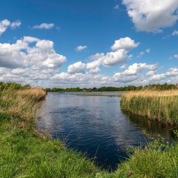 Die Rieselfelder in Münster, europäisches Vogelschutzgebiet in Münster