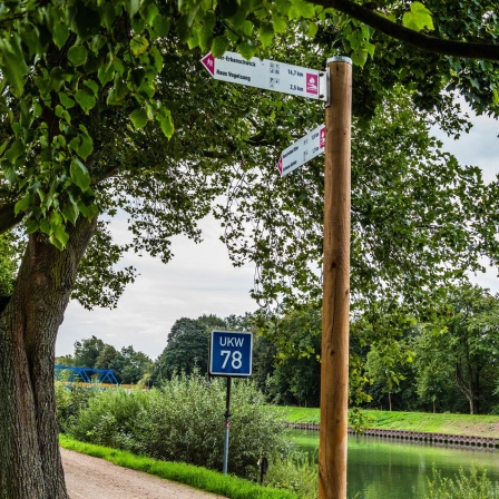 Hohe Mark Steig bei Datteln