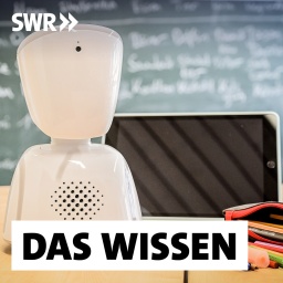 Die Klinikschule Ruhrlandschule arbeitet mit Avataren. Der Roboter ersetzt Schülerinnen und Schüler im Krankheitsfall im Klassenzimmer und sendet Ton und Bild aus dem Unterricht zum kranken Kind.