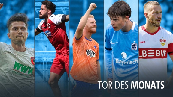 Sportschau - Tor Des Monats August - Die Tore