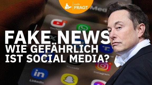 Mittagsmagazin - Wahlkampf Auf Facebook, Tiktok Und Co. - Wird Unsere Meinung Online Gemacht.