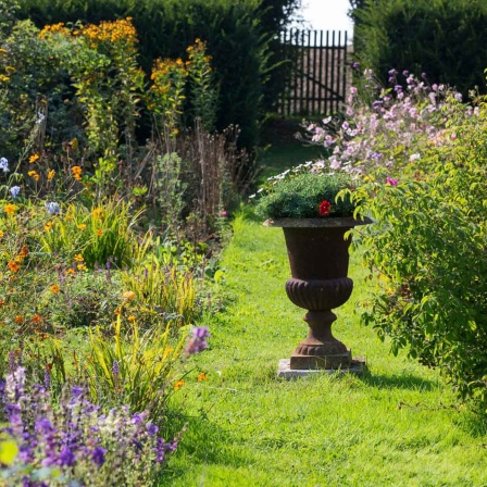 Ein schöner Garten mit bunten Blumen.