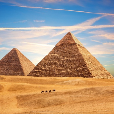 Rätsel um Pyramiden gelöst | Dieser Wurm druckt in 3D (26)