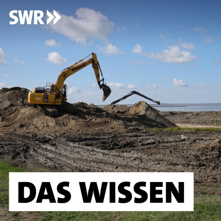 Auf einer Baustelle zur Deichverstärkung am Hauke-Haien-Koog nahe des Fähranlegers Schlüttsiel wird im Juli 2023 mit schwerem Gerät die Deichkrone des alten Deiches erhöht. Die Klimadeiche in Schleswig-Holstein sind an steigende Meeresspiegel und höhere Sturmfluten angepasst.