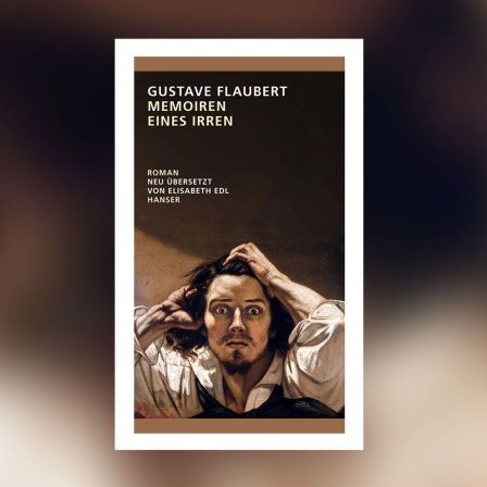 Gustave Flaubert - Memoiren eines Irren