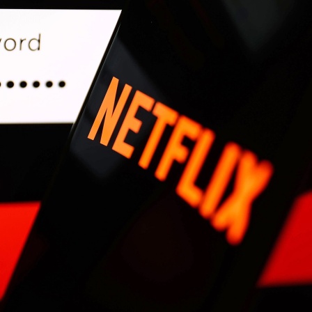 Passwort-Abfrage und Netflix-Logo