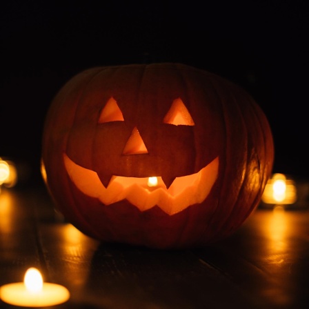 Brasilien Fischnetz Halloween