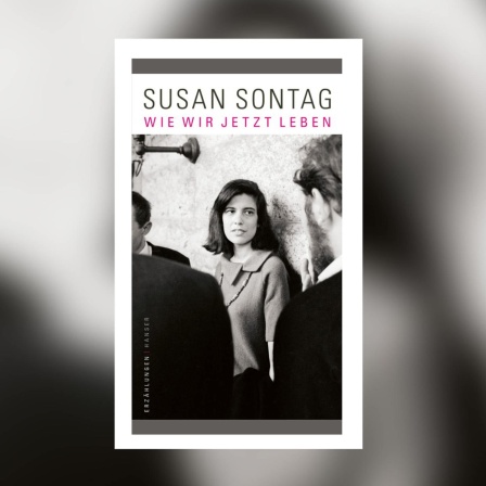 Susan Sontag - Wie wir jetzt leben