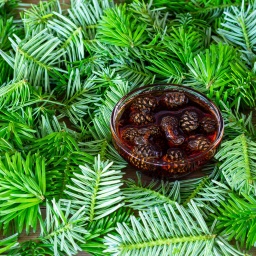 Marmelade aus jungen Tannenzapfen in einem Glas auf dem Hintergrund junger grüner Tannenzweige