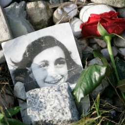 Ein Bild von Anne Frank liegt neben einer roten Rose.