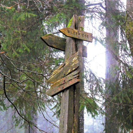 Wilde Wiese: Das kleine Wander-Glück! 