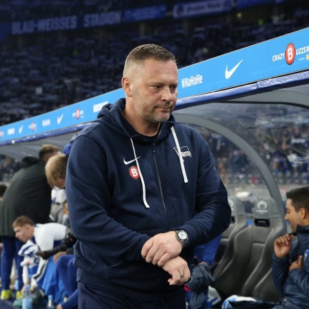 Hertha-Trainer Pal Dardai