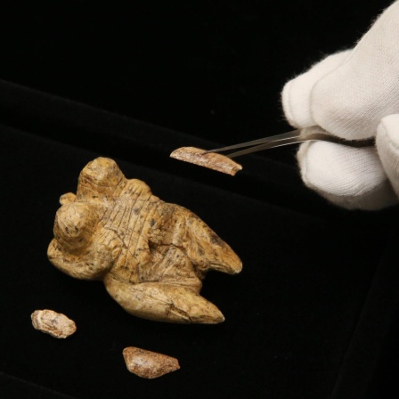 Elfenbeinfragmente Teile einer Venusfigur 34000 Jahre alt und »Venus vom Hohle Fels«