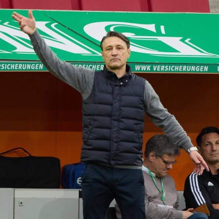 Wolfsburg-Trainer Niko Kovac